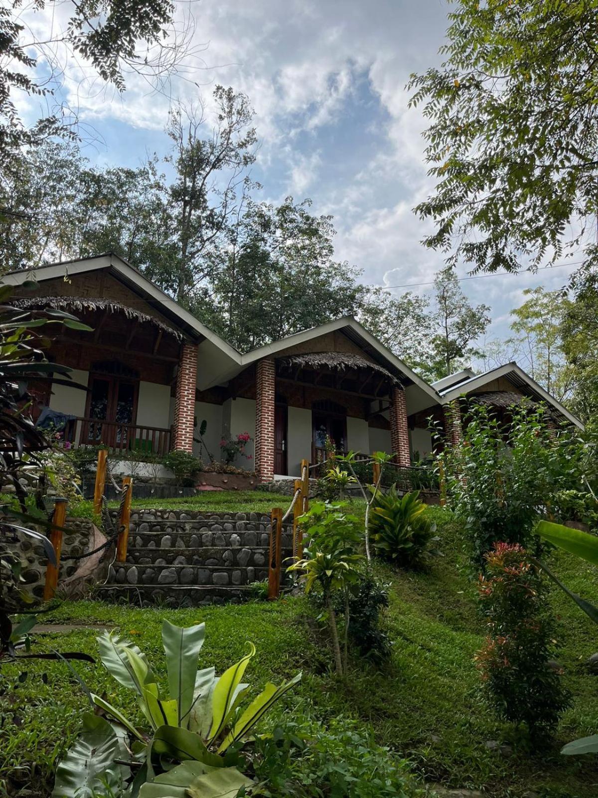 Asim Paris Guesthouse & Jungle Trekking Bukit Lawang Exterior photo
