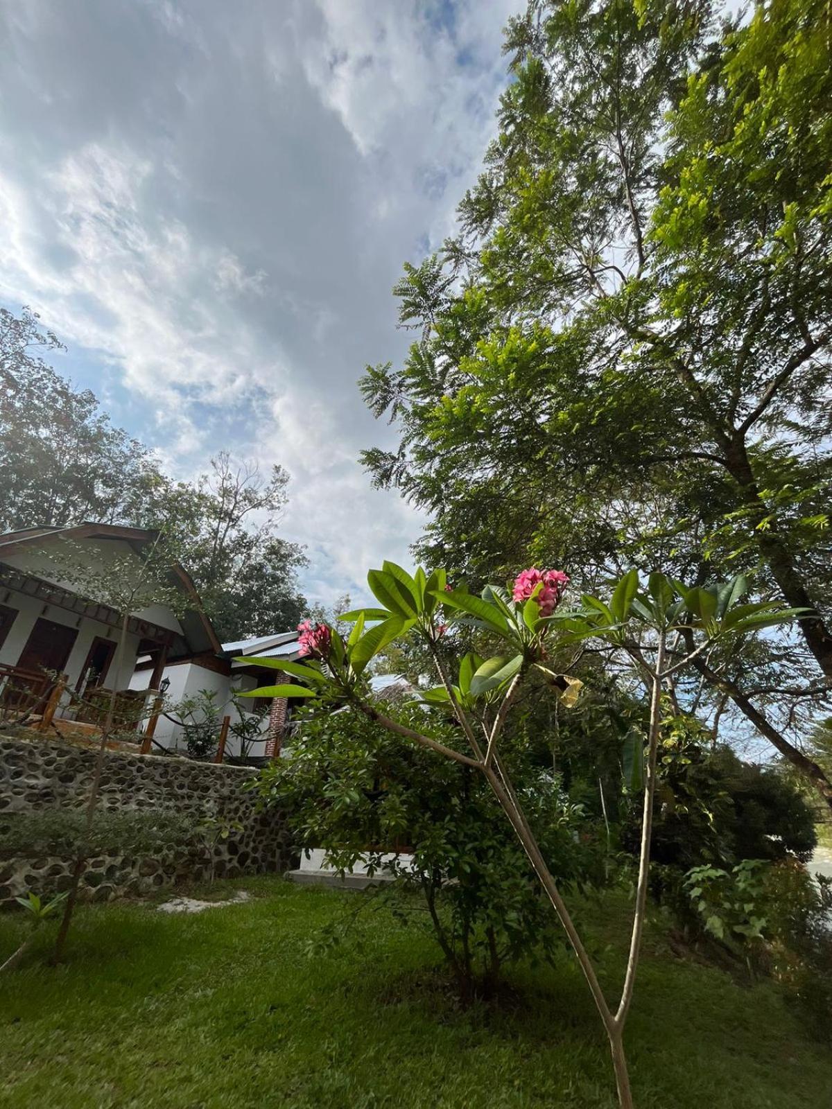 Asim Paris Guesthouse & Jungle Trekking Bukit Lawang Exterior photo